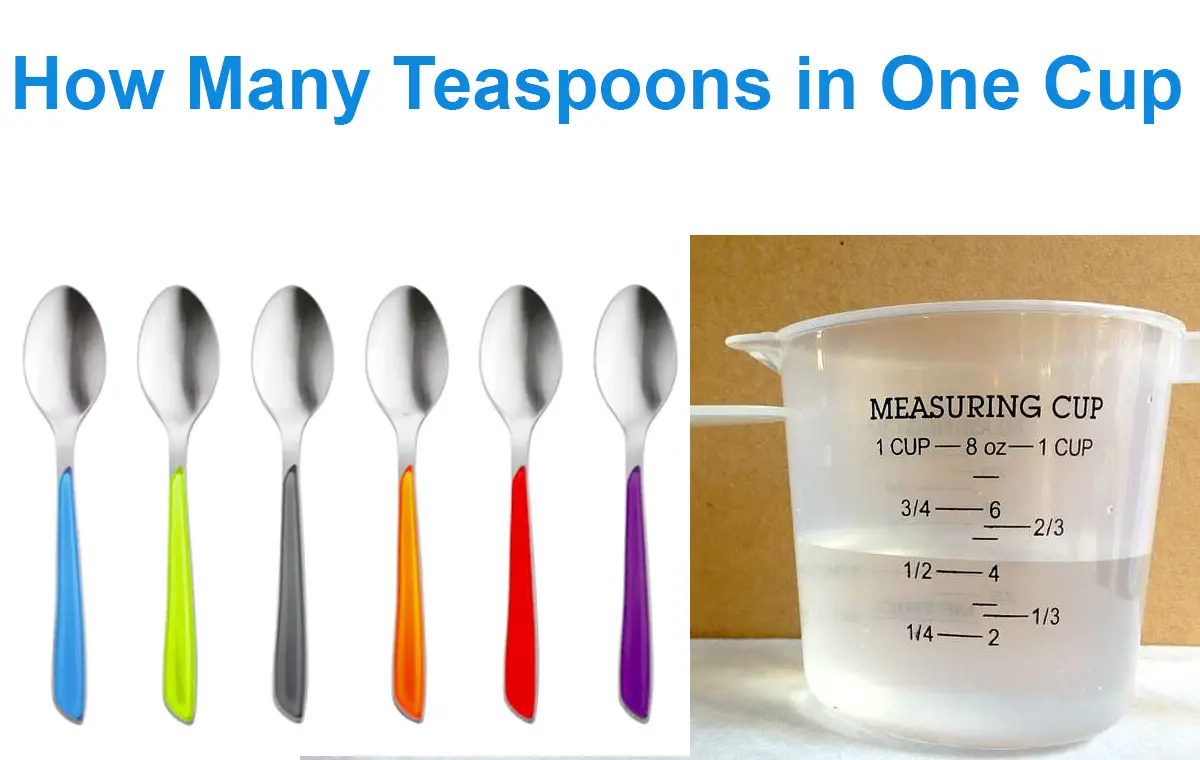 How Many Teaspoons in One Cup