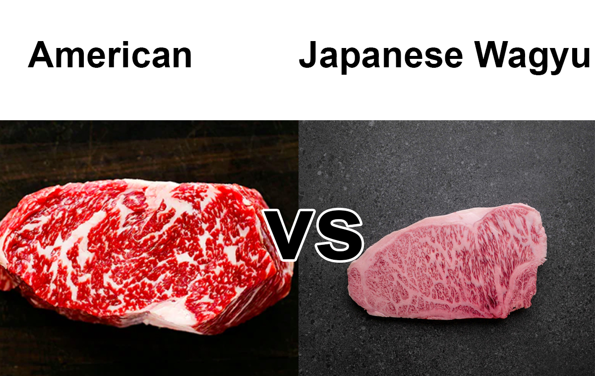 American Wagyu vs Japanese Wagyu